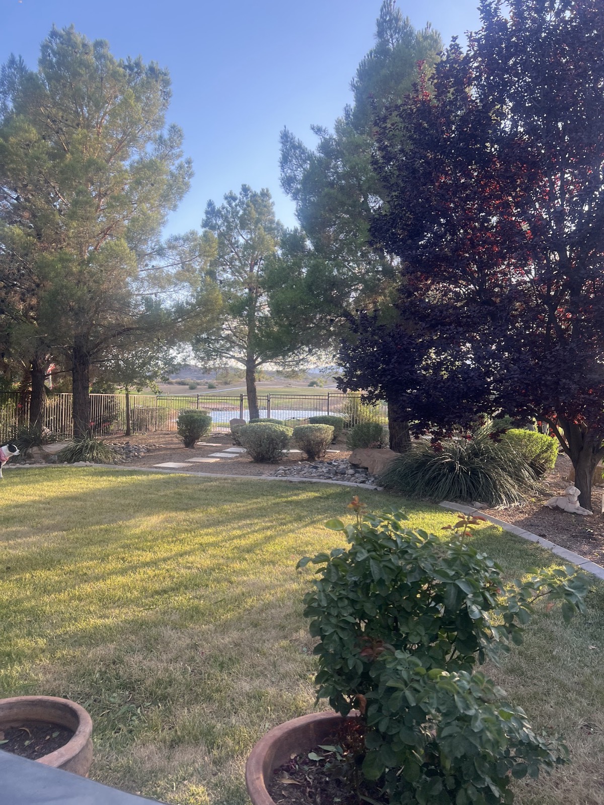 Lush maintained green lawn with mature trees and a lake view
